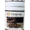 Cordyceps Softgel