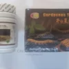 Cordyceps Capsule and Tea